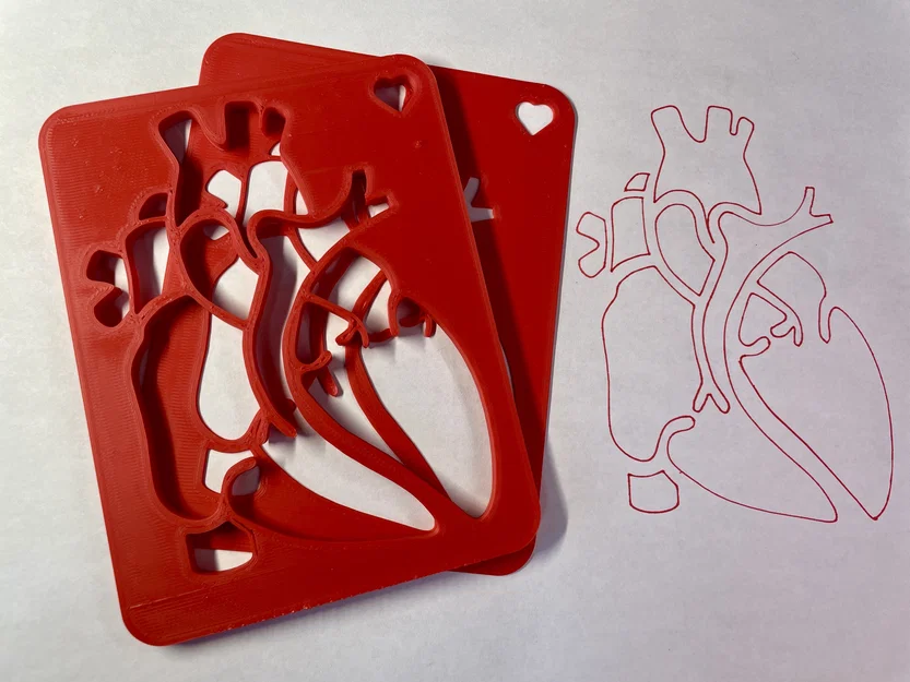 Template Giải Phẫu Tim (Cardiac Anatomy Template) - Image 1