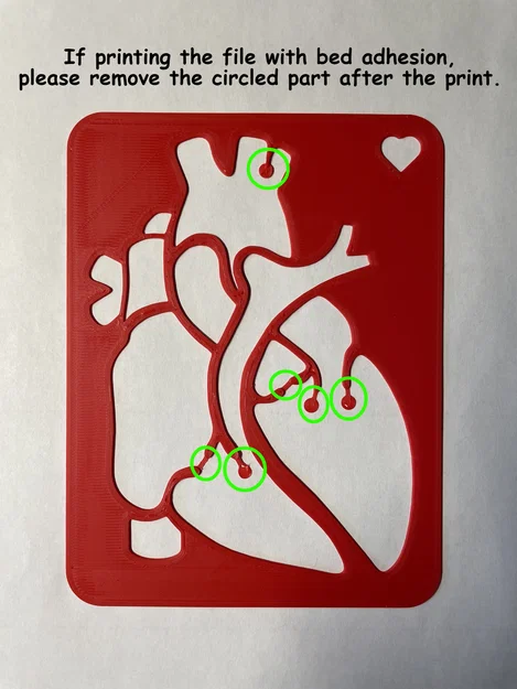 Template Giải Phẫu Tim (Cardiac Anatomy Template) - Image 3
