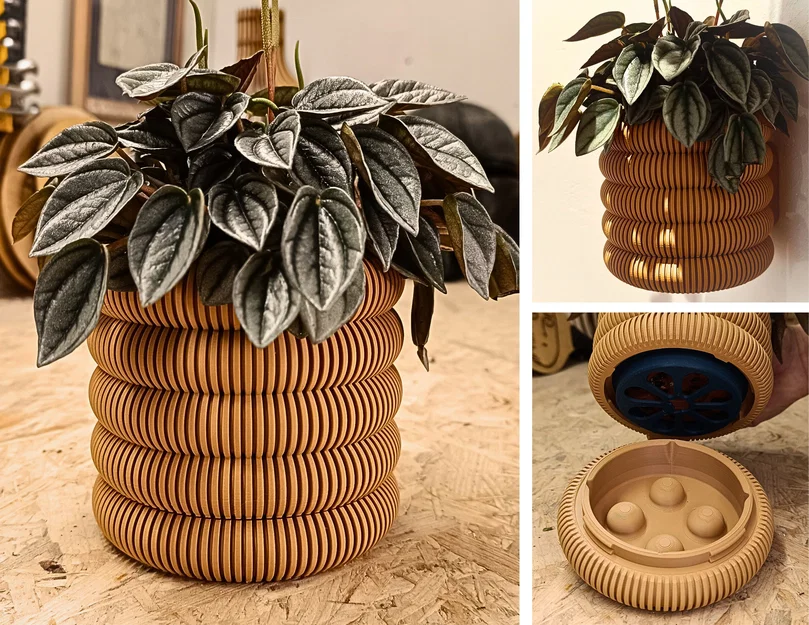 Wallplanter 1.21 (Coins) – Chậu treo tường kiểu đồng xu - Image 1