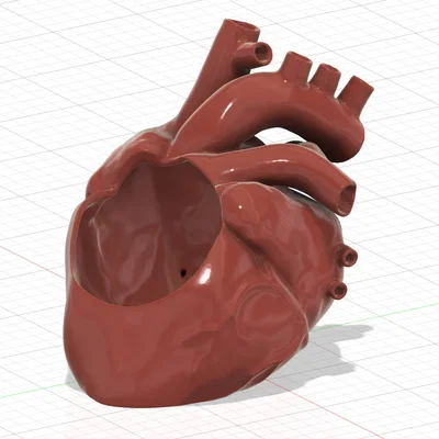 Mẫu in 3D Chậu cây hình trái tim giải phẫu độc đáo