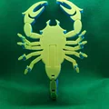 Bọ Cạp Khớp Nối (Articulated Scorpion) Print-in-Place - Thumbnail 4