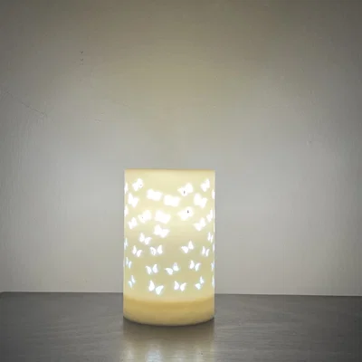 Đèn Bướm (Butterfly Lamp)