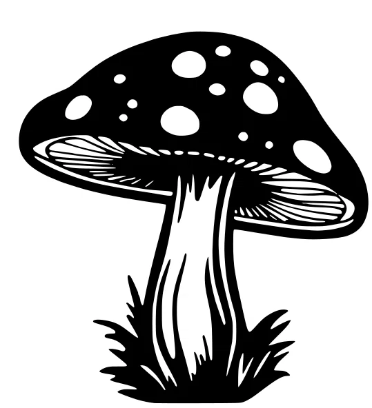 Mô hình trang trí tường hình nấm Mushroom Wall Art độc đáo - Image 1