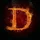 tomer_1562295