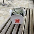 Hộp đồ ăn mang về kiểu Trung Quốc (Chinese Food Takeout Container) - Thumbnail 2
