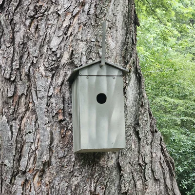 Nút Meshtastic dạng birdhouse (Meshtastic birdhouse node)