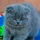 Roeland_3737652