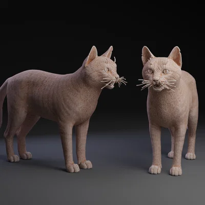 Mô hình chú mèo hoang Stray Cat chi tiết sắc nét để in 3D