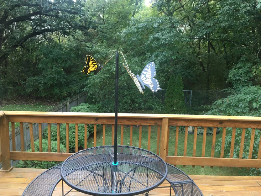 Bướm (Butterflies) - Image 3