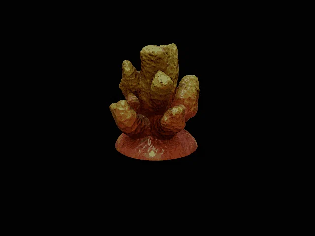 Bộ san hô trang trí bể cá (Coral set decoration) - File 3D in ấn - Image 1