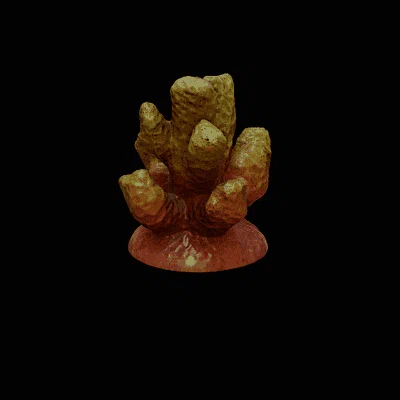 Bộ san hô trang trí bể cá (Coral set decoration) - File 3D in ấn