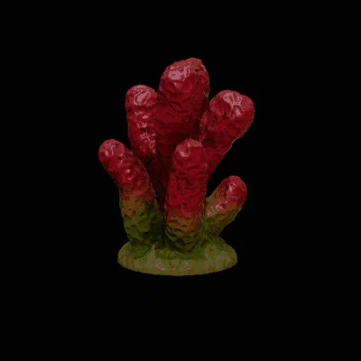 Bộ san hô trang trí bể cá (Coral set decoration) - File 3D in ấn
