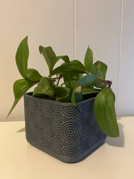 PLANTER – Chậu trồng cây họa tiết tròn - Image 1