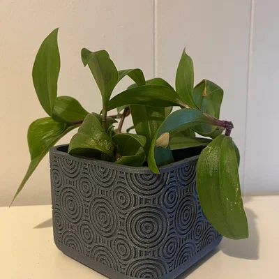 PLANTER – Chậu trồng cây họa tiết tròn