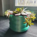 Chậu cây (Plant pot) chống thấm kiểu ren xoắn - Thumbnail 5