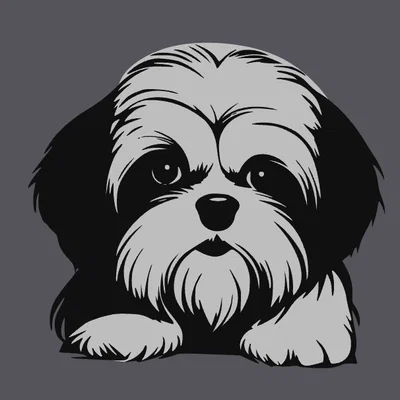 Mẫu tranh treo tường hình chú chó Shi Tzu 3D siêu đáng yêu
