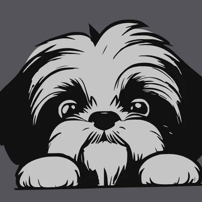 Mô hình 2D trang trí hình chú chó Shi Tzu đáng yêu cho cửa sổ
