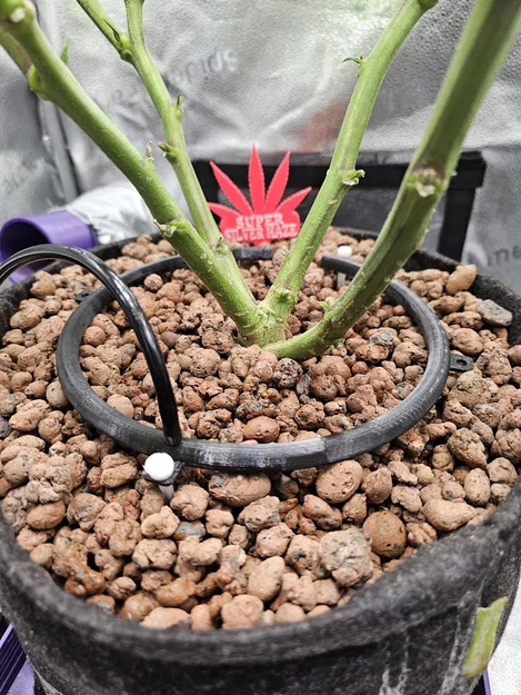 Vòng tưới nhỏ giọt 190mm (Drip Irrigation Ring) cho chậu cây lớn - Image 1