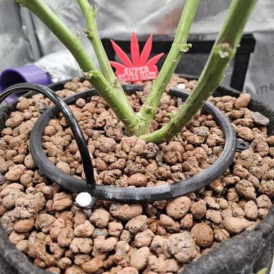 Vòng tưới nhỏ giọt 190mm (Drip Irrigation Ring) cho chậu cây lớn