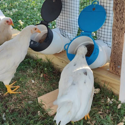 Nắp máng ăn gà PVC – Bản lề (Hinged Lid)