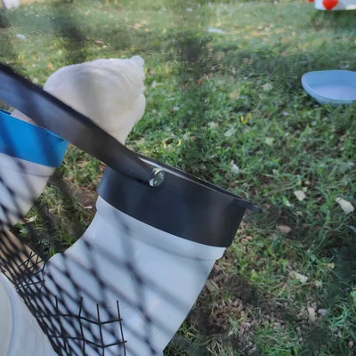 Nắp máng ăn gà PVC – Bản lề (Hinged Lid)