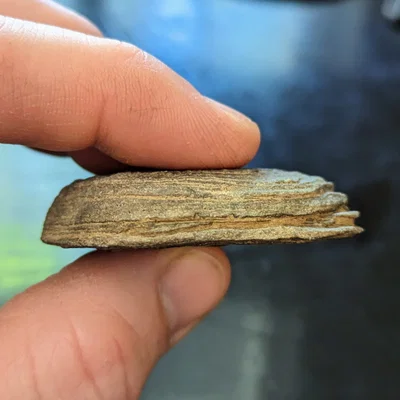 Bản quét 3D tảng đá phẳng (Flat Rock 3D Scan)