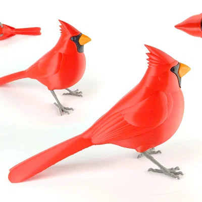 Northern Cardinal “puzzle” – Chim Hồng Y Đỏ lắp ráp