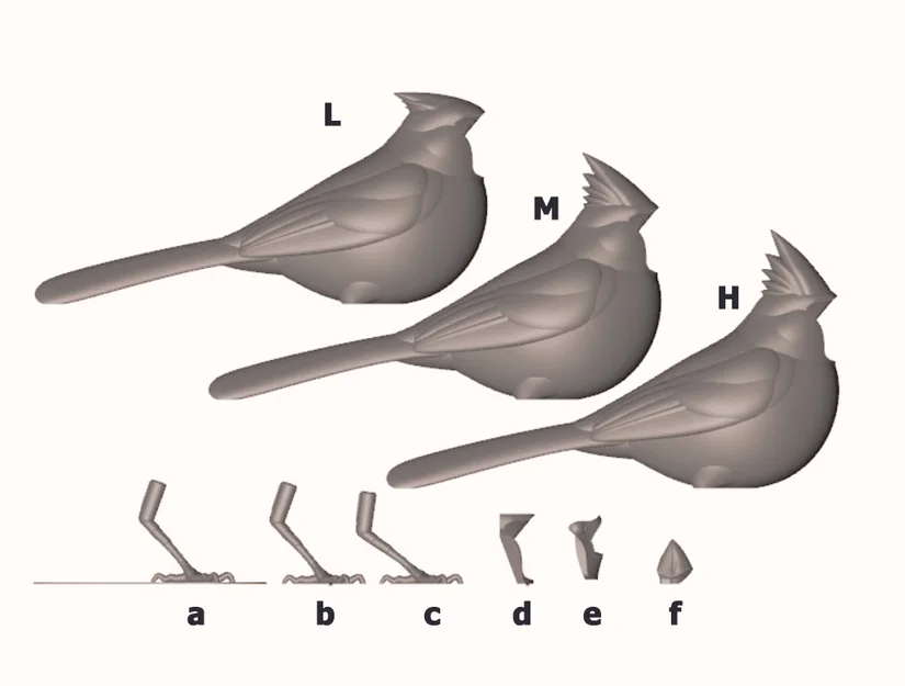 Northern Cardinal “puzzle” – Chim Hồng Y Đỏ lắp ráp - Image 6