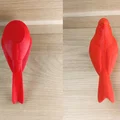 Hồng Y Bắc Mỹ đang ngồi (Sitting Northern Cardinal) - Thumbnail 3
