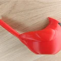 Hồng Y Bắc Mỹ đang ngồi (Sitting Northern Cardinal) - Thumbnail 4