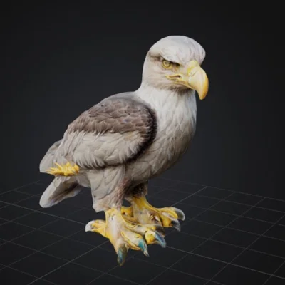 Mô hình đại bàng 3D dũng mãnh, chi tiết cho in 3D chuyên nghiệp