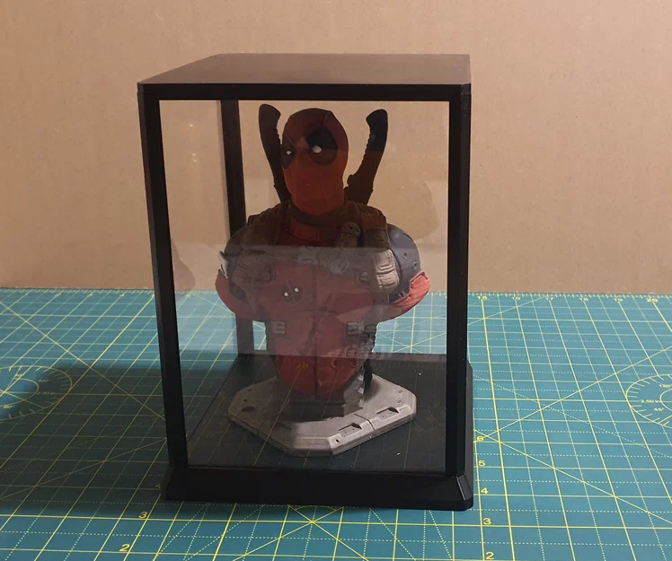 Hộp Trưng Bày (Display Case) - Image 2