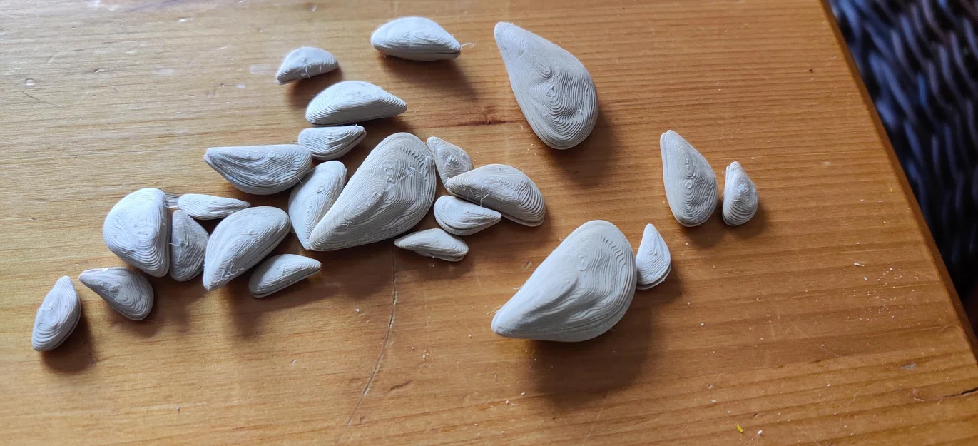 Mô hình Zebra Mussel Prop - Image 3