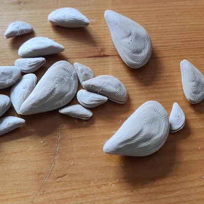 Mô hình Zebra Mussel Prop