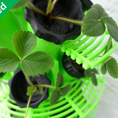 Hydroponic Tower Terrace cho 5 chậu (Hydroponic_Tower_Terrace_for_5_Pots)
