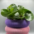 Chậu cây trang trí in 3D thiết kế hiện đại, dễ in - Thumbnail 1