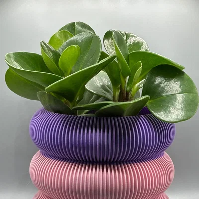 Chậu cây trang trí in 3D thiết kế hiện đại, dễ in