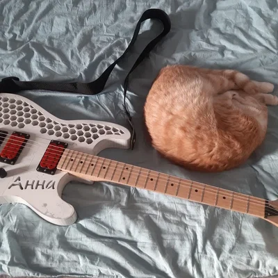 Super Stratocaster - Đàn Guitar Điện