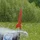 jackali_2127707