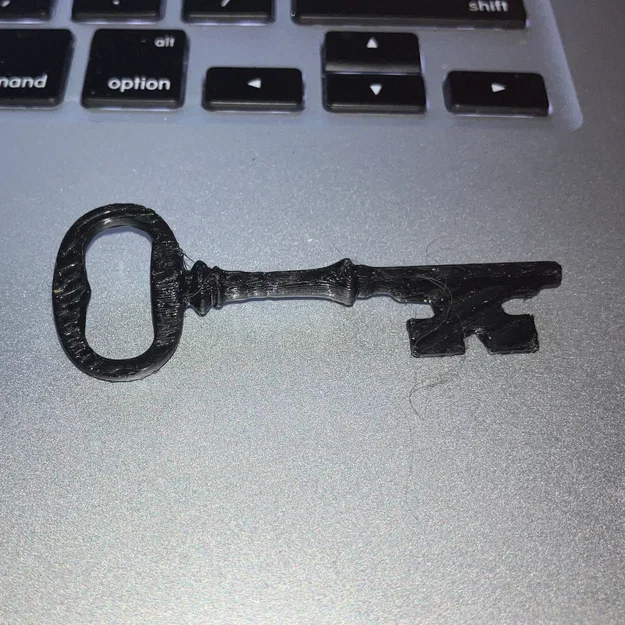 Mô hình chìa khóa cổ Skeleton Key độc đáo cho in 3D - Image 1