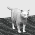 Mô hình mèo nhỏ (Cat Mini) - Đồ trang trí in 3D phong cách low-poly - Thumbnail 2