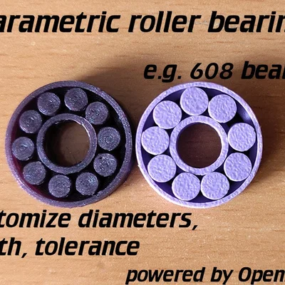Vòng bi con lăn tùy chỉnh (Customizable roller bearing)