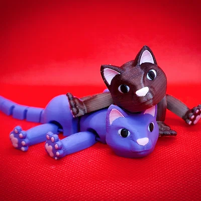 Fabulous Flexi Felines - AKA Flexi Cats