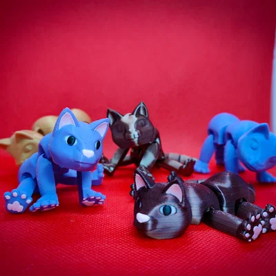 Fabulous Flexi Felines - AKA Flexi Cats