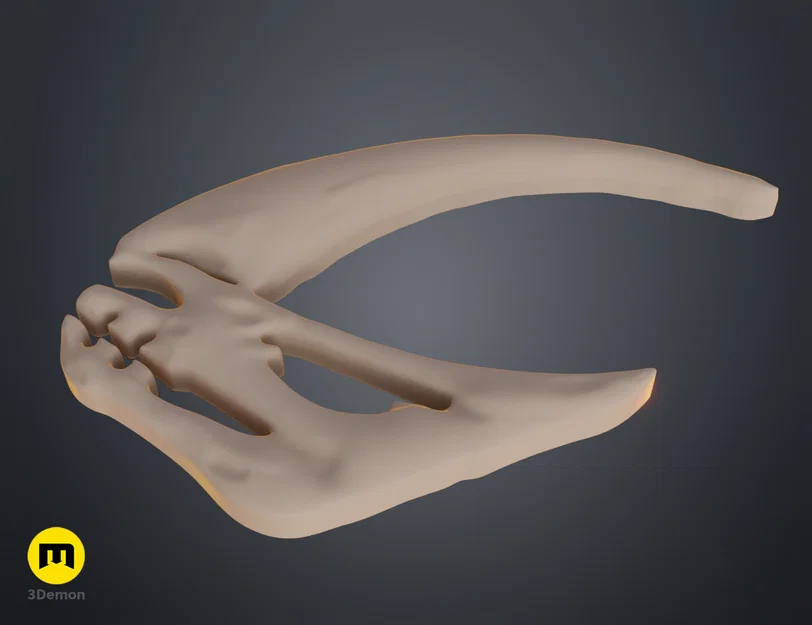 Dấu ấn Mudhorn Mandalorian (Mandalorian Mudhorn signet) – file in 3D - Image 10