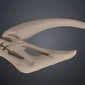 Dấu ấn Mudhorn Mandalorian (Mandalorian Mudhorn signet) – file in 3D - Thumbnail 10