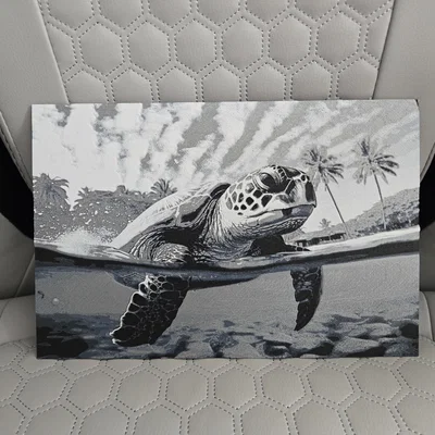 Turtle Hueforge