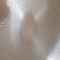 "HOLY" bản gốc - QO-100 2.4GHz - Helix 2-4.5 vòng Dual feed - NO ICECONE! - Thumbnail 32