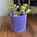 Chậu cây Mid Century Modern kèm khay hứng nước - Rãnh tuyến tính - Thumbnail 1