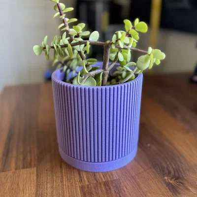 Chậu cây Mid Century Modern kèm khay hứng nước - Rãnh tuyến tính